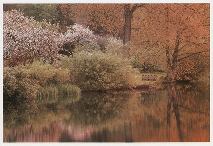 DK003 - Frühling Schalkenmehren DK003 - Frühling Schalkenmehren