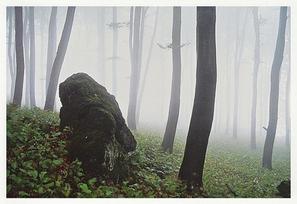 DK011 - Auf dem Ernstberg DK011 - Auf dem Ernstberg