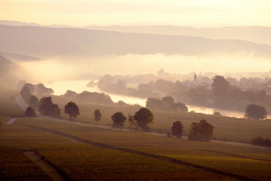 Mosel22