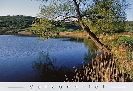 PK204 - Am Schalkenmehrener Maar PK203 - Am Schalkenmehrener Maar