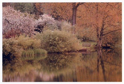 PK003 - Frühling am Schalkenmehrener Maar PK003 - Frühling am Schalkenmehrener Maar