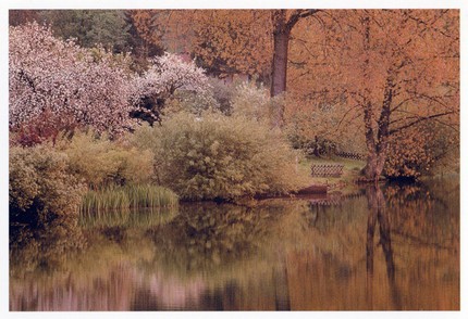 PK003 - Frühling am Schalkenmehrener Maar